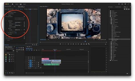 Can You Stabilize Video in Premiere Pro? Exploring the Art of Smoothing Footage and Beyond