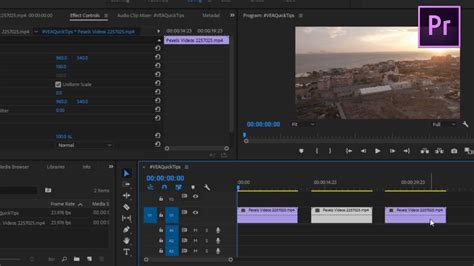 How to Duplicate Audio in Premiere Pro: A Symphony of Possibilities