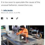 Scientists baffled over hundreds of fish ‘spinning and whirling’ dead onto South Florida shores – ABC News – Trevis Dampier Ministries