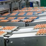 Largest US egg producer in Texas forced to temporarily shut down after bird flu wipes out nearly 2 million chickens (Next Plandemic and Plan to Eat the Bugs)