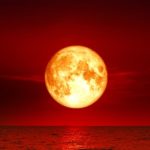 There will be blood moon eclipses falling on Purim for three years in a row In 2024, 2025 And 2026