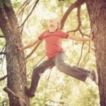 Boy climbing tree By soupstock/stock.adobe.com