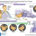 NewsBreak: Pandemic Potential: New Research Shows H5N1 Bird Flu Can Transmit Through Air